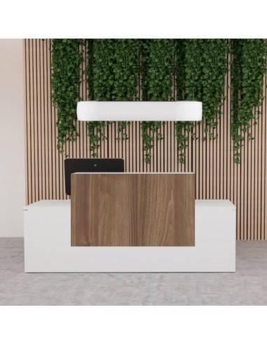 Vue 2