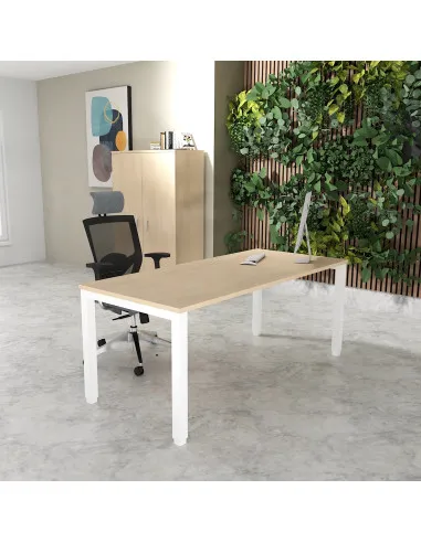 Bureau Professionnel Tempo Mobel Linea