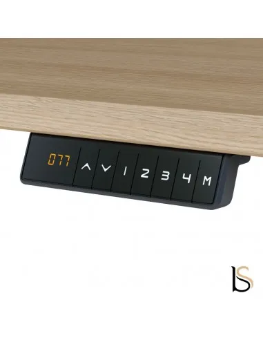 Vue 4
