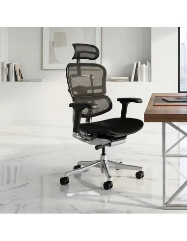 Fauteuil Ergonomique de Bureau EHE2