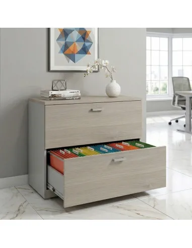 Classeur de Bureau Compact : Rangement Professionnel 2 Tiroirs pour Dossiers Suspendus