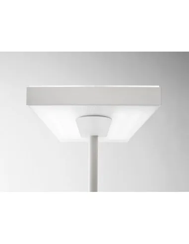 Vue 2