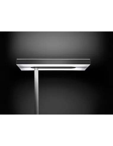 Vue 3