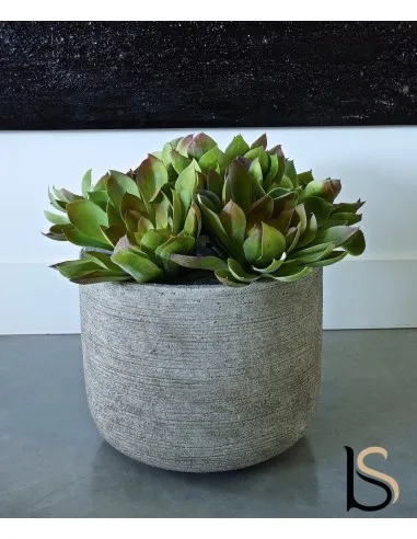 Composition de 5 Echeverias artificiels de 37 cm - Tanaman