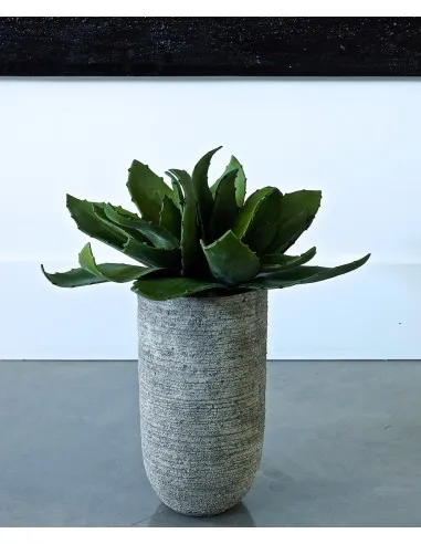 Vue 2