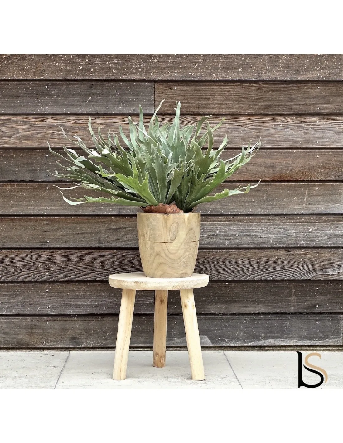 Jolie plante artificielle 45 cm - Tanaman