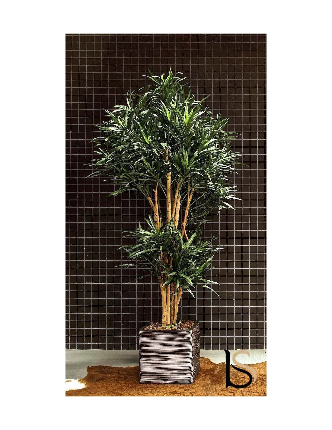 Dracena vert artificiel de 175 cm - Tanaman